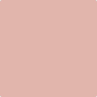 038 Rosetta