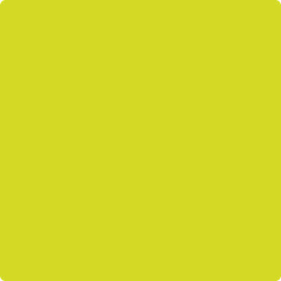 Benjamin Moore's 2025-30 New Lime Paint Color