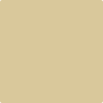 AF-365 Amulet Brush Mock up