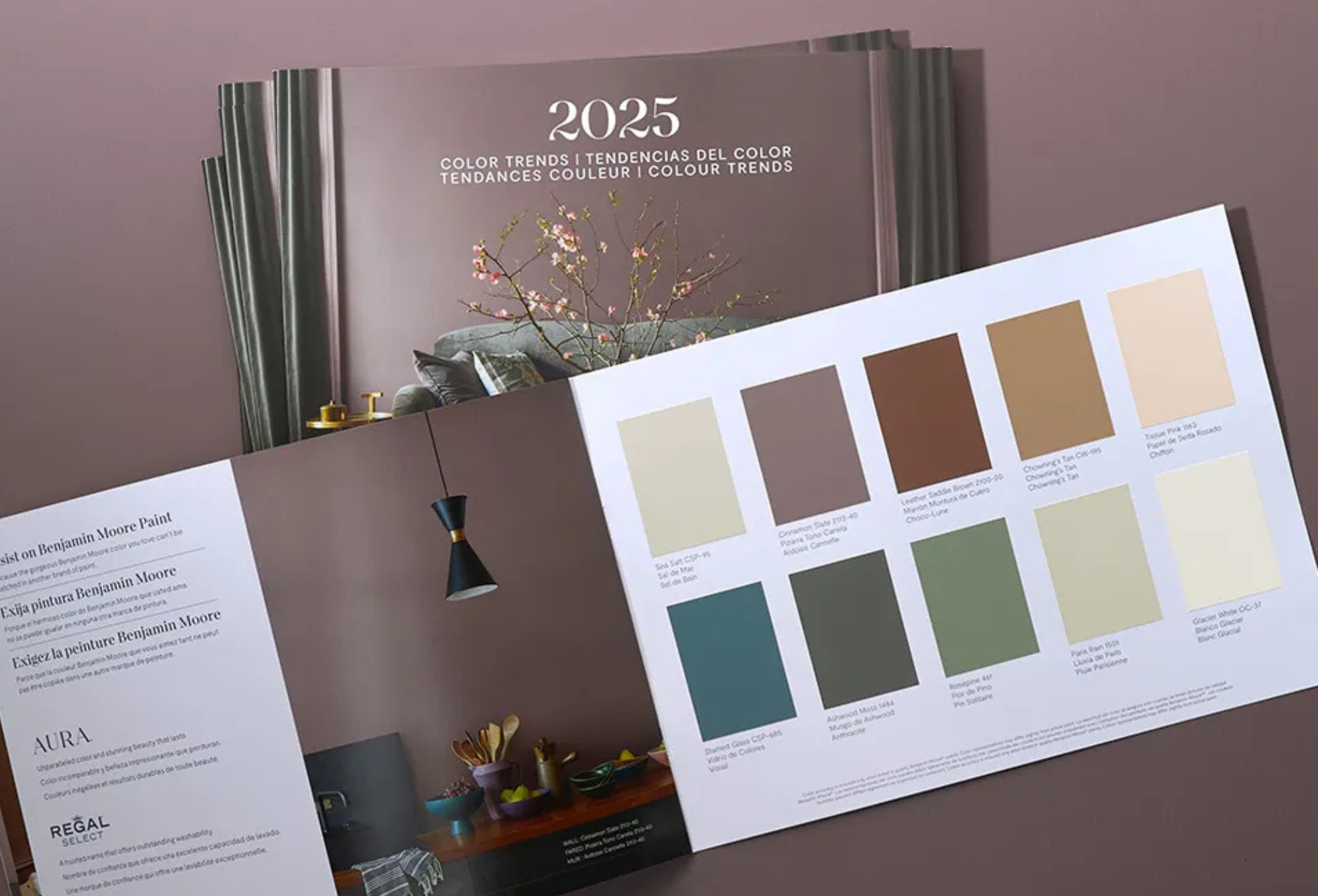 Benjamin Moore's 2025 Color Trends Palette, available in New Jersey at your local Ricciarid Brothers