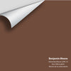 Digital color swatch of Benjamin Moore's Adirondack Brown 2095-10 Peel & Stick Sample available at Ricciardi BRothers in PA, DE, & NJ.