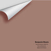 Digital color swatch of Benjamin Moore's Autumn Brown 2099-40 Peel & Stick Sample available at Ricciardi BRothers in PA, DE, & NJ.