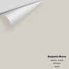 Digital color swatch of Benjamin Moore's Abalone 2108-60 Peel & Stick Sample available at Ricciardi BRothers in PA, DE, & NJ.