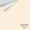 Digital color swatch of Benjamin Moore's Adobe White 2166-70 Peel & Stick Sample available at Ricciardi BRothers in PA, DE, & NJ.