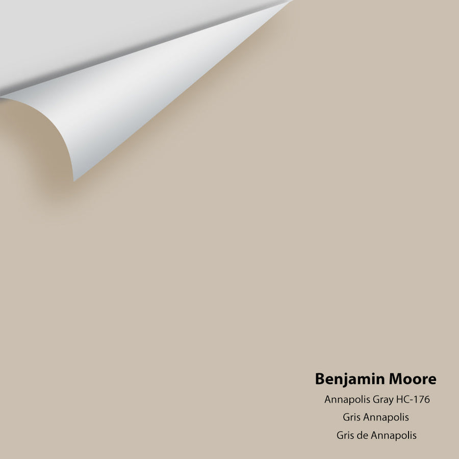 Digital color swatch of Benjamin Moore's Annapolis Gray HC-176 Peel & Stick Sample available at Ricciardi BRothers in PA, DE, & NJ.