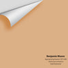 Digital color swatch of Benjamin Moore's Approaching Autumn CSP-1090 Peel & Stick Sample available at Ricciardi BRothers in PA, DE, & NJ.