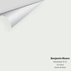 Digital color swatch of Benjamin Moore's Baby's Breath 873 Peel & Stick Sample available at Ricciardi BRothers in PA, DE, & NJ.