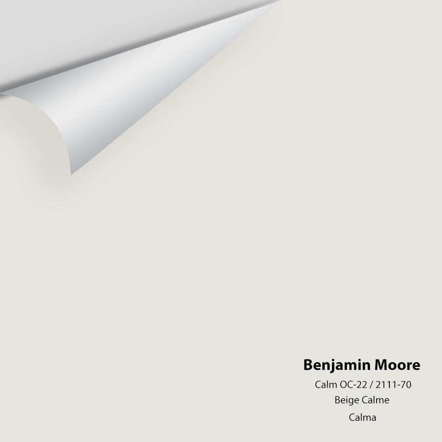 Digital color swatch of Benjamin Moore's Calm 2111-70 Peel & Stick Sample available at Ricciardi BRothers in PA, DE, & NJ.