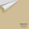 Digital color swatch of Benjamin Moore's Candle Glow CSP-1015 Peel & Stick Sample available at Ricciardi BRothers in PA, DE, & NJ.