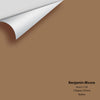 Digital color swatch of Benjamin Moore's Acorn 1125 Peel & Stick Sample available at Ricciardi BRothers in PA, DE, & NJ.