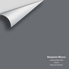 Digital color swatch of Benjamin Moore's Ashland Slate 1608 Peel & Stick Sample available at Ricciardi BRothers in PA, DE, & NJ.