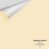 Digital color swatch of Benjamin Moore's Aura 169 Peel & Stick Sample available at Ricciardi BRothers in PA, DE, & NJ.