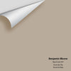 Digital color swatch of Benjamin Moore's Baja Dunes 997 Peel & Stick Sample available at Ricciardi BRothers in PA, DE, & NJ.