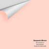 Digital color swatch of Benjamin Moore's Bermuda Pink 16 Peel & Stick Sample available at Ricciardi BRothers in PA, DE, & NJ.