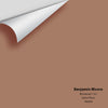 Digital color swatch of Benjamin Moore's Birchwood 1161 Peel & Stick Sample available at Ricciardi BRothers in PA, DE, & NJ.