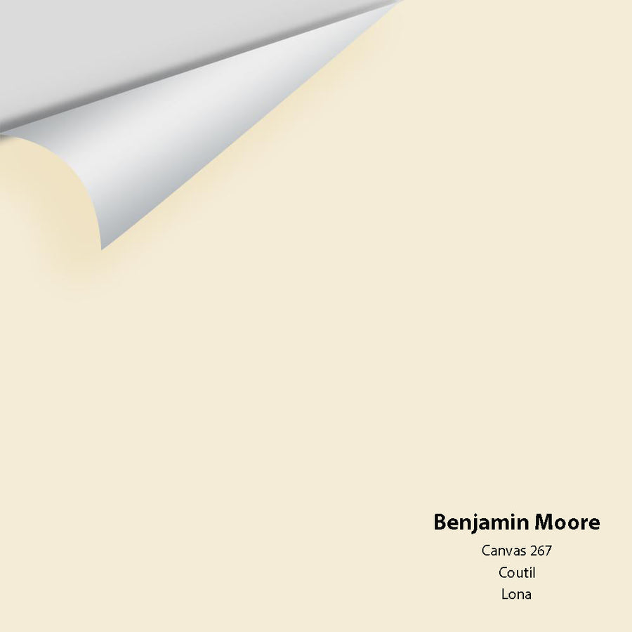Digital color swatch of Benjamin Moore's Canvas 267 Peel & Stick Sample available at Ricciardi BRothers in PA, DE, & NJ.