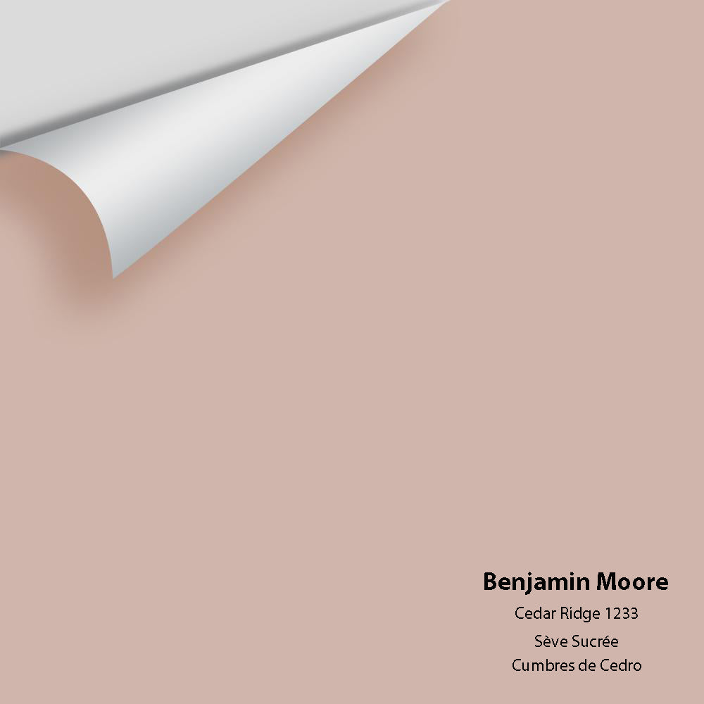 Digital color swatch of Benjamin Moore's Cedar Ridge 1233 Peel & Stick Sample available at Ricciardi BRothers in PA, DE, & NJ.