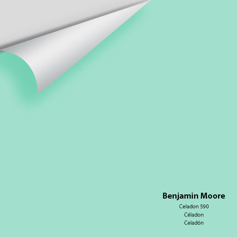 Digital color swatch of Benjamin Moore's Celadon 590 Peel & Stick Sample available at Ricciardi BRothers in PA, DE, & NJ.