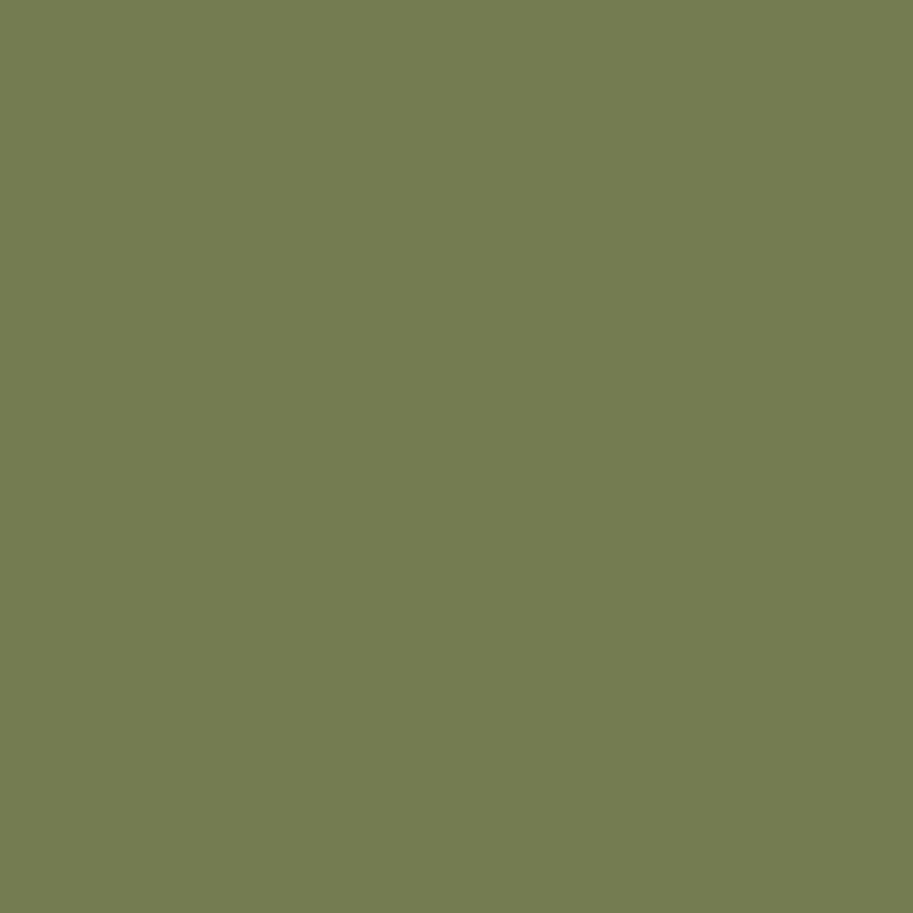 Sap Green by Farrow & Ball is available at Ricciardi Brothers in NJ, Pa, and DE.