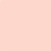 016 Bermuda Pink