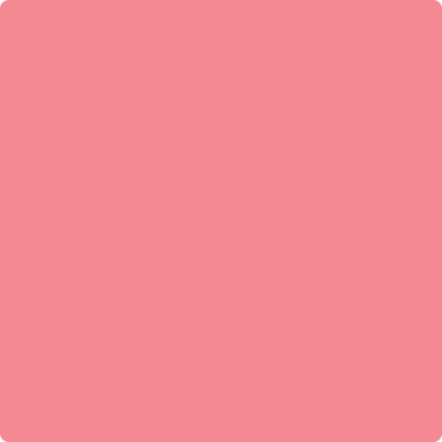 Benjamin Moore's 2002-40 Flamingo's Dream Paint Color
