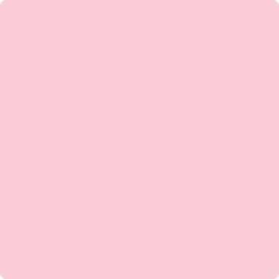 Benjamin Moore's 2003-60 Exotic Pink Paint Color
