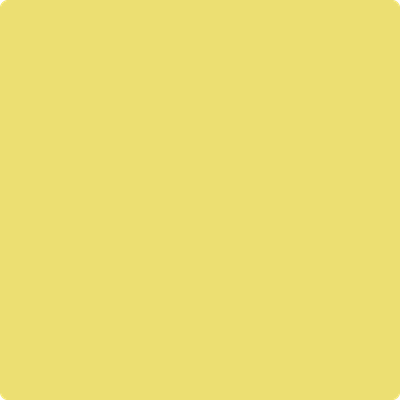 Benjamin Moore's 2024-40 Yellow Finch Paint Color
