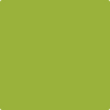 Benjamin Moore's 2027-10 Dark Lime Paint Color