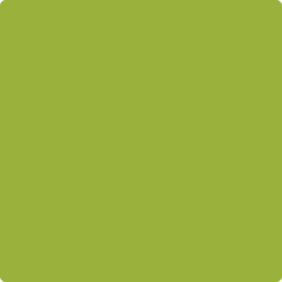 Benjamin Moore's 2027-10 Dark Lime Paint Color