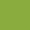 Benjamin Moore's 2028-20 Douglas Fir Paint Color