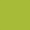 Benjamin Moore's 2028-30 Tequila Lime Paint Color