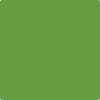 Benjamin Moore's 2029-20 Baby Fern Paint Color