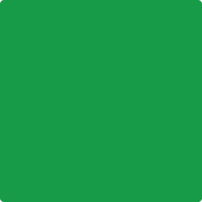 Benjamin Moore's 2032-10 Neon Green Paint Color