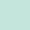 Benjamin Moore's 2038-60 Tropical Pool Paint Color