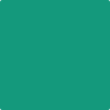 Benjamin Moore's 2043-30 Kelp Forest Paint Color