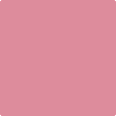 Benjamin Moore's 2081-40 Pink Blossom Paint Color