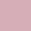 Benjamin Moore's 2082-50 Damask Rose Paint Color