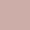 Benjamin Moore's 2102-50 Rose Bisque Paint Color