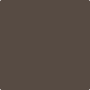 Benjamin Moore's 2112-20 Brown Sugar Paint Color