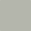 Benjamin Moore's 2137-50 Sea Haze Paint Color