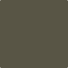 Benjamin Moore's 2139-20 Dakota Woods Green Paint Color