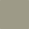 Benjamin Moore's 2141-40 Creekside Green Paint Color