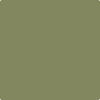 Benjamin Moore's 2144-20 Eucalyptus Leaf Paint Color