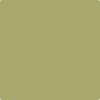 Benjamin Moore's 2145-30 Brookside Moss Paint Color