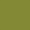 Benjamin Moore's 2146-10 Dark Celery Paint Color