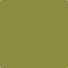 Benjamin Moore's 2147-10 Oregano Paint Color