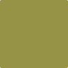 Benjamin Moore's 2147-20 Olive Moss Paint Color