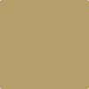 Benjamin Moore's 2148-30 Military Tan Paint Color