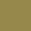 Benjamin Moore's 2149-20 G.I. Green Paint Color