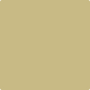 Benjamin Moore's 2149-40 Timothy Straw Paint Color